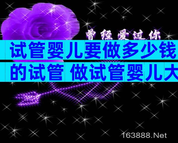 试管婴儿要做多少钱的试管 做试管婴儿大概需要多少钱